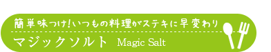 ȒPI̗XeLɑς }WbN\g Magic Salt