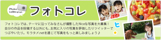�t�H�g�R���@�e�[�}�ɉ����Ă݂Ȃ��񂪎B�e����Nice�Ȏʐ^����W�I