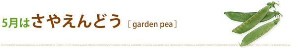 {fގȏЉ 5͂₦ǂ[garden pea]