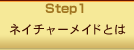Step1.lC`[ChƂ