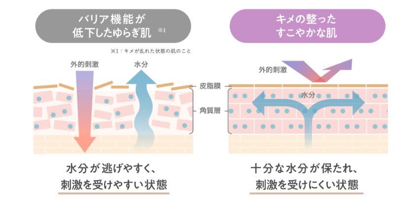 3. ゆらぎ肌とは一時的なバリア機能の低下
